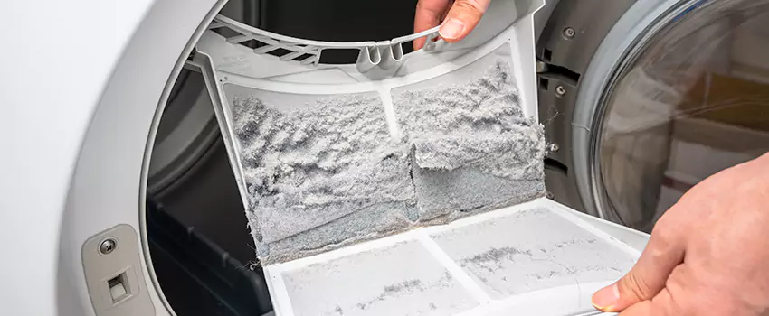 Best Dryer Lint Removal Company in Lancaster, California